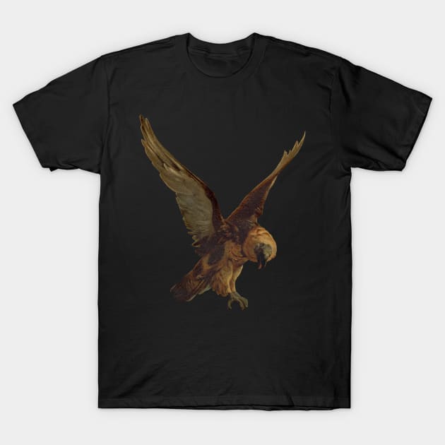 Bird of Prey T-Shirt by TRNCreative